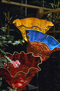 Macchia - Dale Chihuly