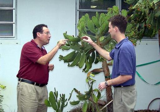 Dr. Javier Francisco-Ortega and Dr. Carl Lewis examine an Opuntia
