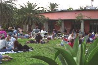 Popular outdoor winter concerts are performed on the lawn at Fairchild Tropical Garden.