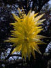 Chartreuse Hornet Polyvitro Chandelier, 2001, Dale Chihuly