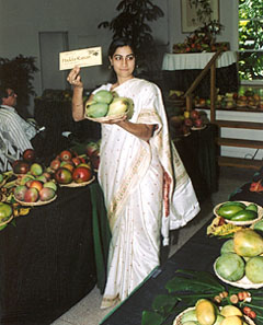 Mango Auction 2003