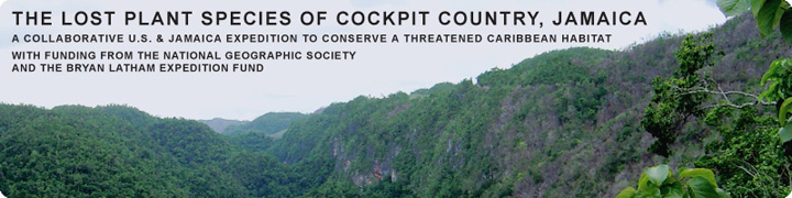 The Lost Plant Species of Cockpit Country, Jamaica